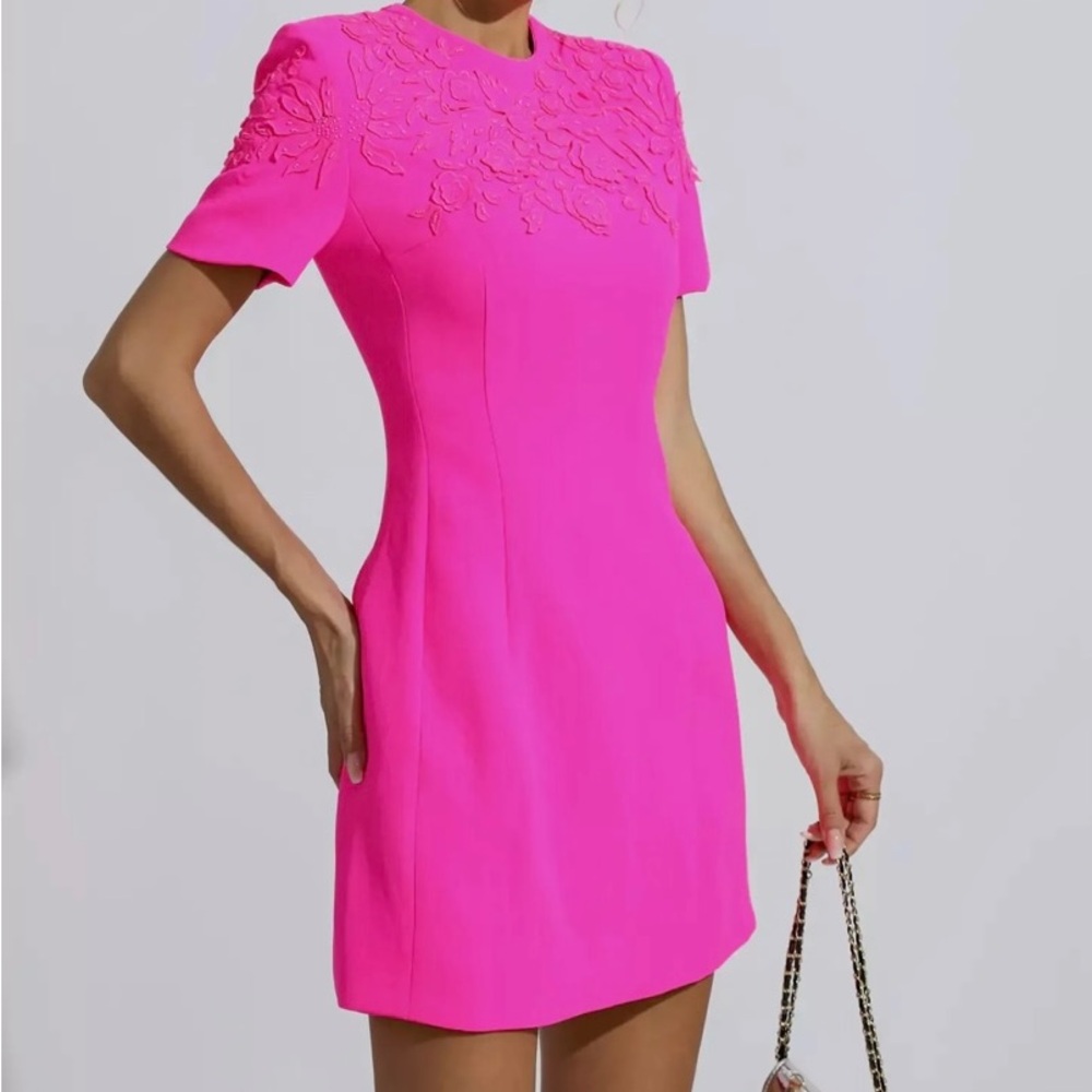 Elegant Pink Mini Dress with Floral Embroidery
